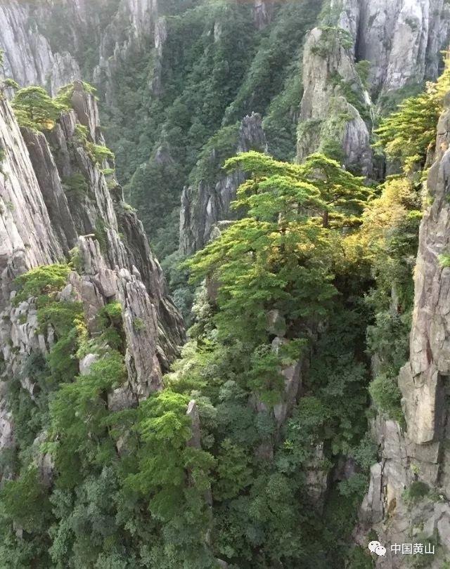 障碍冲刺挑战赛无敌版