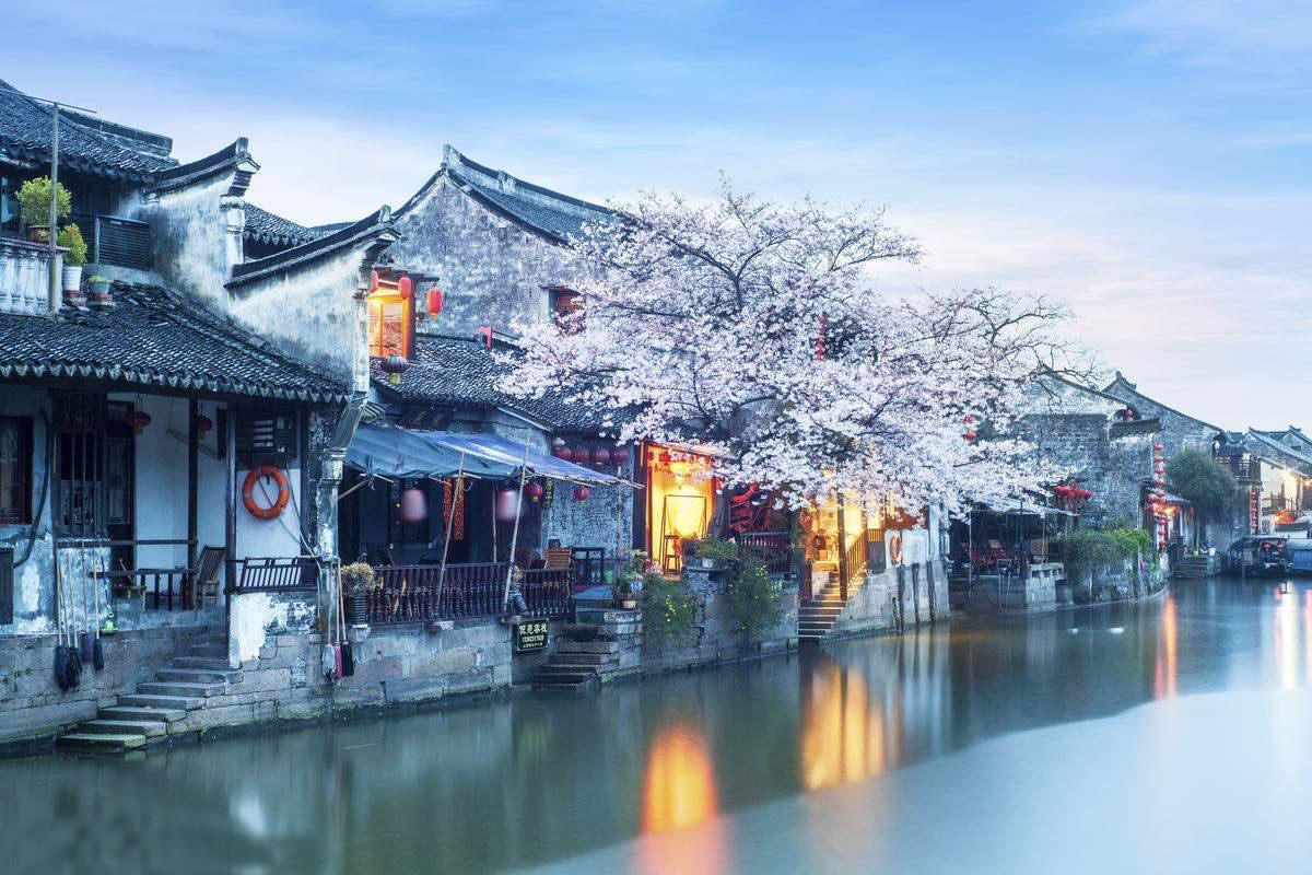功夫熊猫