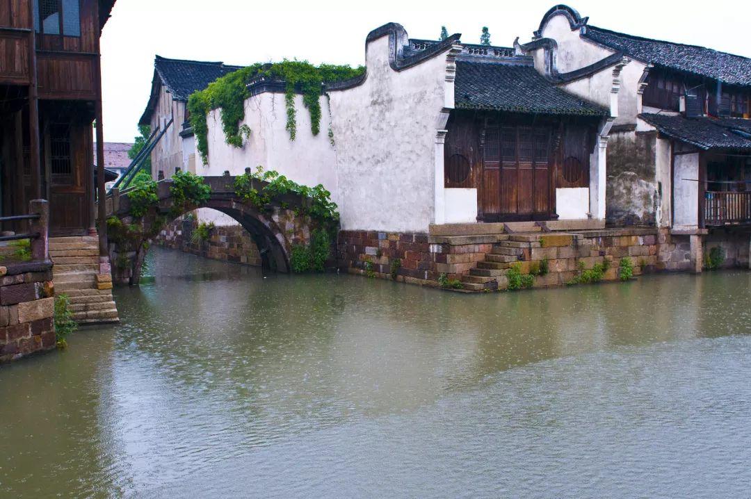 警察战僵尸无敌版